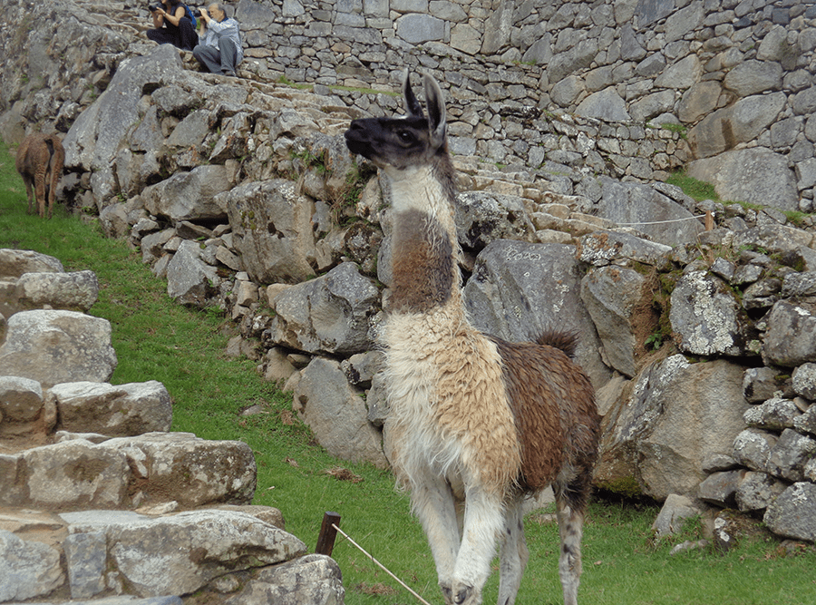 Salkantay - Machu Picchu