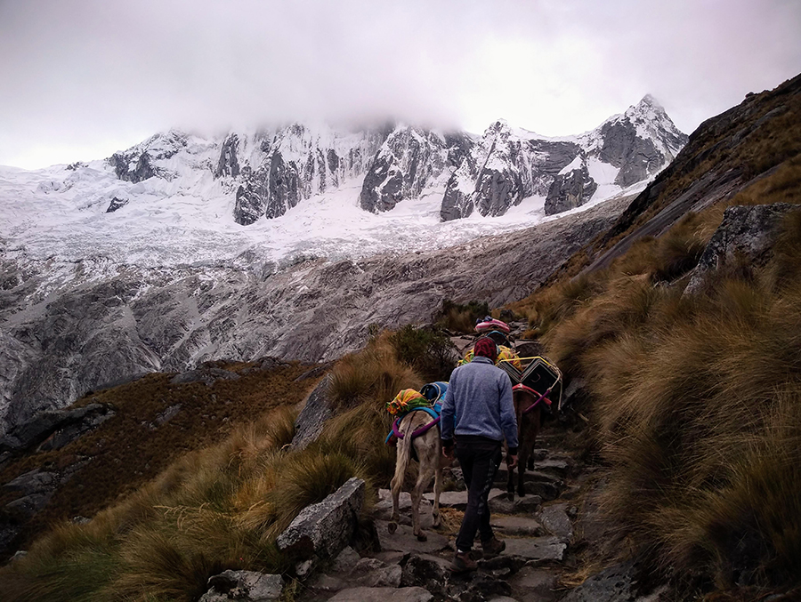 trekking santa cruz