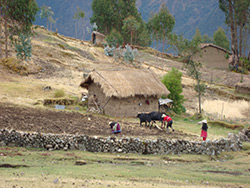 cedros Alpamayo trekking