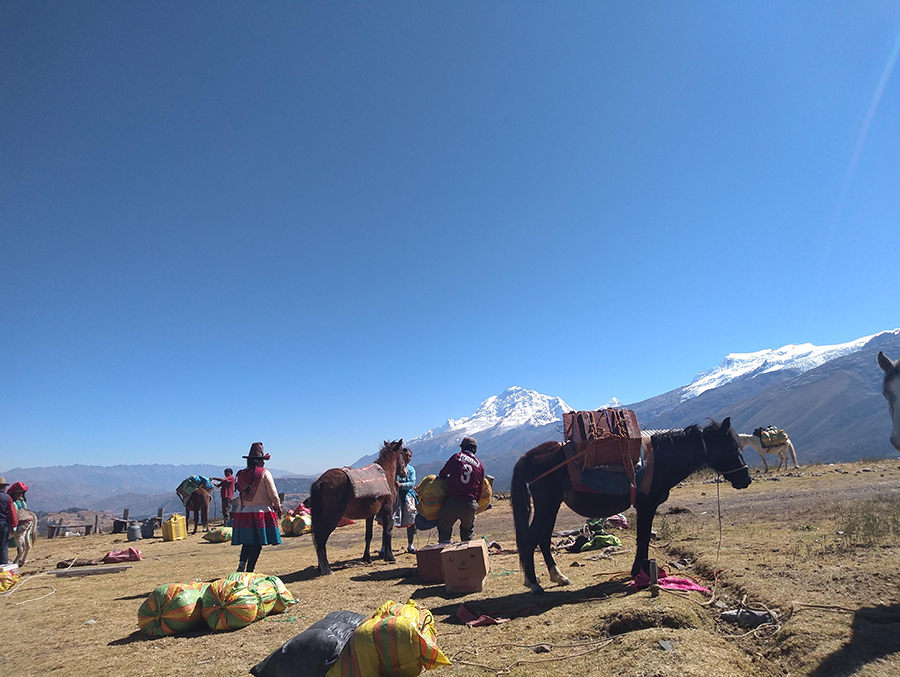 donkey Climbing Ishinca