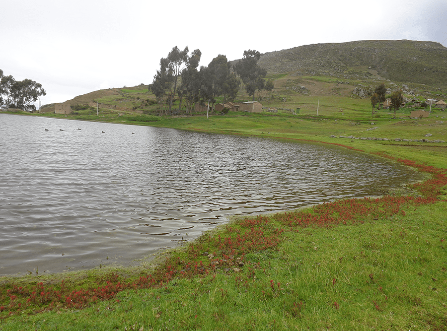 tours wilcacocha lake