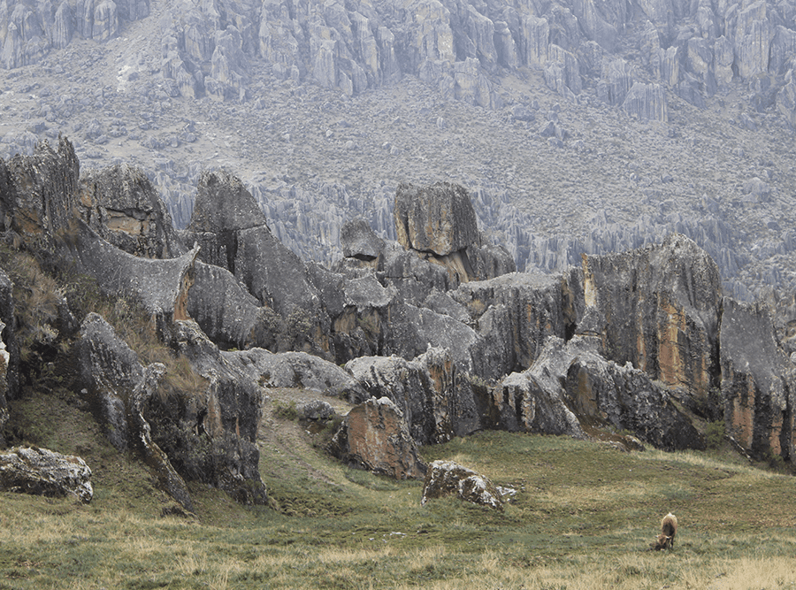 stone Forest hatunmachay